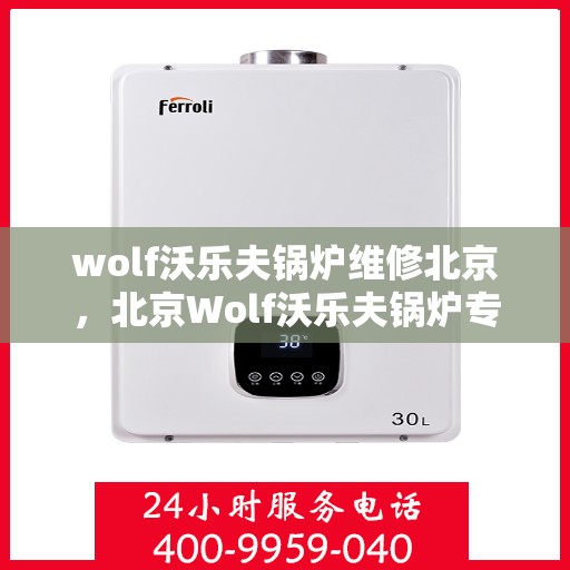wolf沃乐夫锅炉维修北京，北京Wolf沃乐夫锅炉专业维修服务