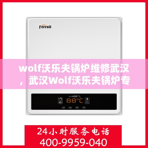 wolf沃乐夫锅炉维修武汉，武汉Wolf沃乐夫锅炉专业维修服务