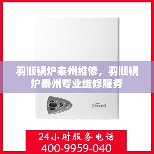 羽顺锅炉泰州维修，羽顺锅炉泰州专业维修服务
