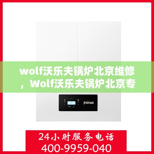 wolf沃乐夫锅炉北京维修，Wolf沃乐夫锅炉北京专业维修服务