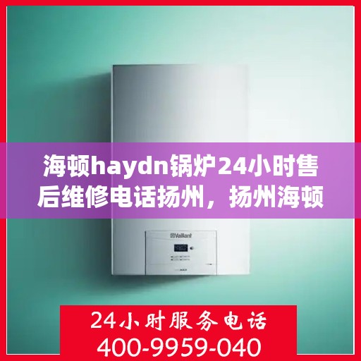 海顿haydn锅炉24小时售后维修电话扬州，扬州海顿锅炉全天候售后维修服务热线