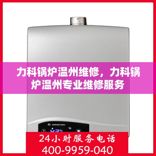 力科锅炉温州维修，力科锅炉温州专业维修服务