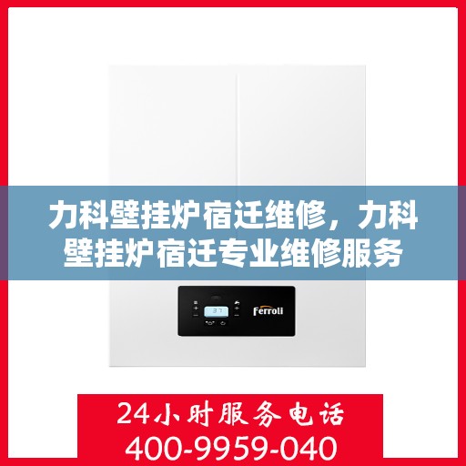 力科壁挂炉宿迁维修，力科壁挂炉宿迁专业维修服务