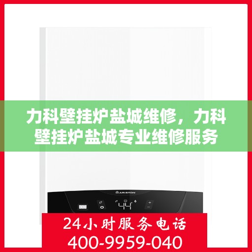 力科壁挂炉盐城维修，力科壁挂炉盐城专业维修服务