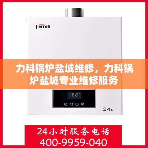 力科锅炉盐城维修，力科锅炉盐城专业维修服务