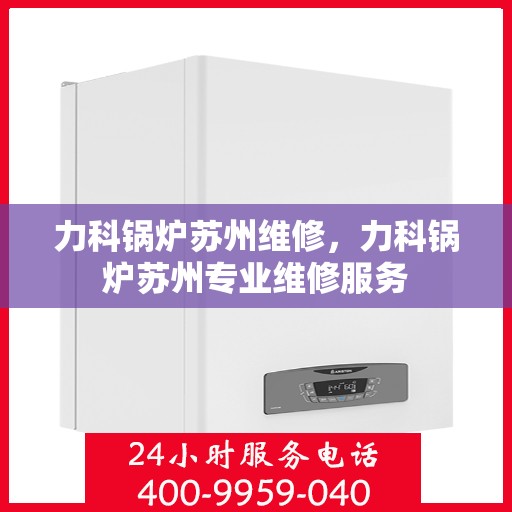 力科锅炉苏州维修，力科锅炉苏州专业维修服务