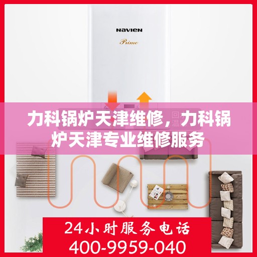 力科锅炉天津维修，力科锅炉天津专业维修服务