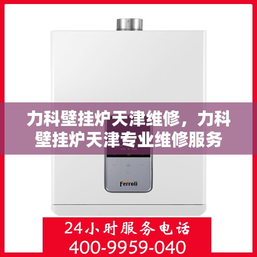 力科壁挂炉天津维修，力科壁挂炉天津专业维修服务