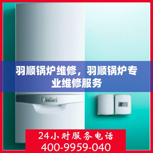 羽顺锅炉维修，羽顺锅炉专业维修服务