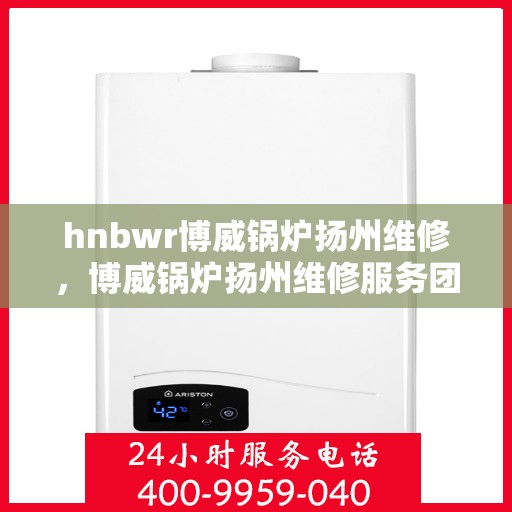 hnbwr博威锅炉扬州维修，博威锅炉扬州维修服务团队专业解析与体验分享